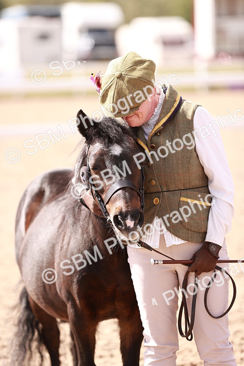 SBM_23012 - Class 707 - IH groom Helpers Class