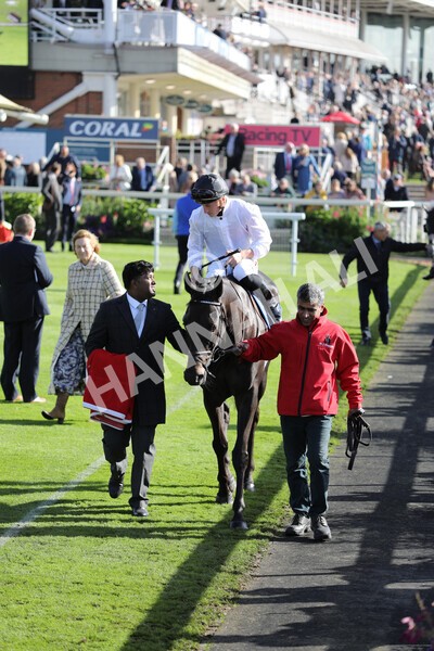 yr08102022r3-12 - Race 3 2.40pm The Coral 'Beaten-by-a-Length' Free Bet Handicap