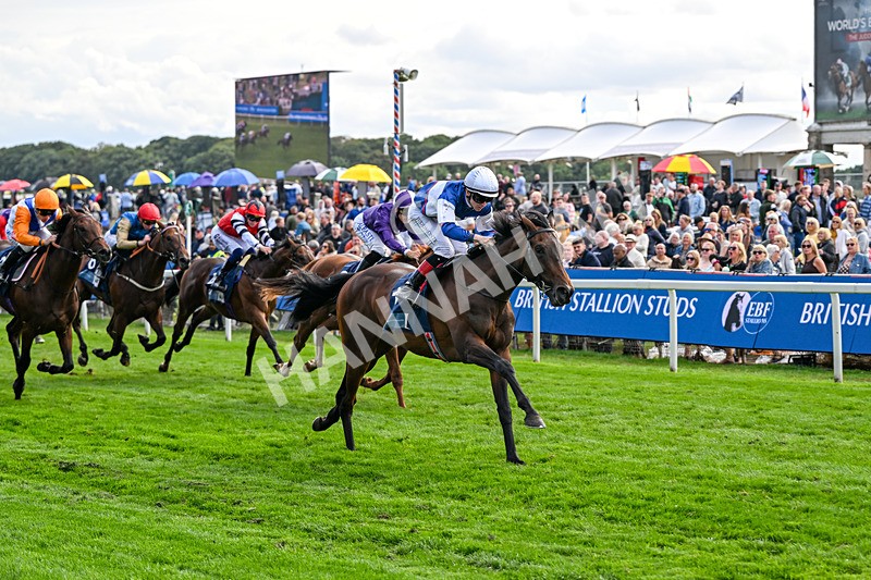 210826-Race 6-Benjamin Hornigold-7156 - Race 6 16.45pm British Stallion Studs EBF Convivial Maiden Stakes