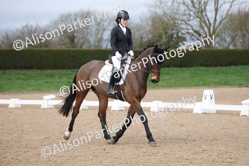 20260301-0239 - Class 3 - Novice 4