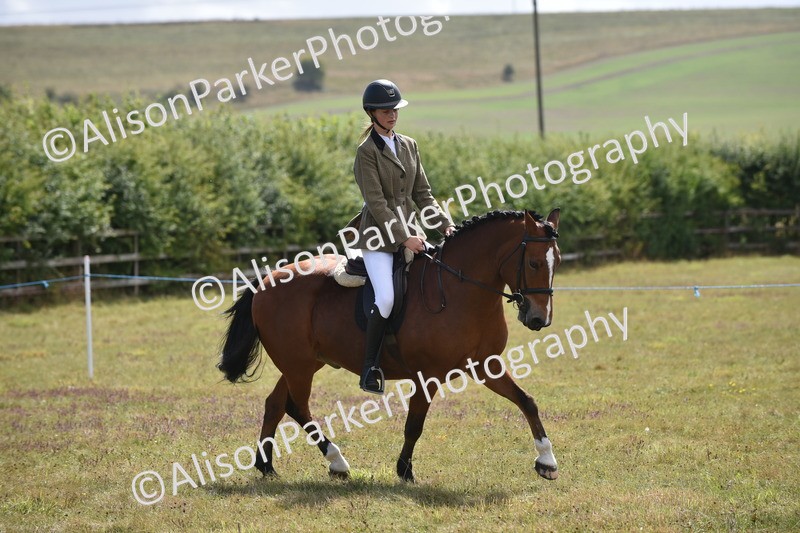 20250831-4012 - Class 12 - Working Hunter Pony 14.2hh and Under