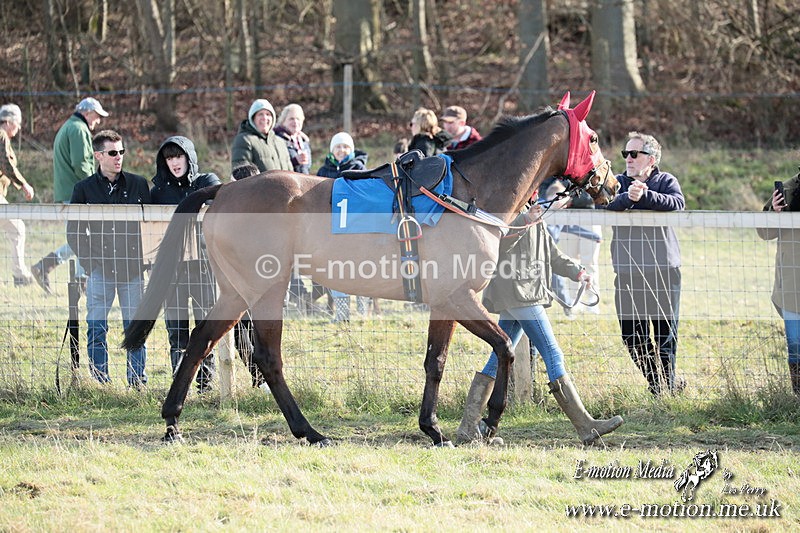 PtP 220225 782 - Kimblewick Point-to-Point  Kingston Blount 22/02/25