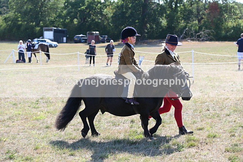 WJ6_7451 - Class 34 Judges Choice