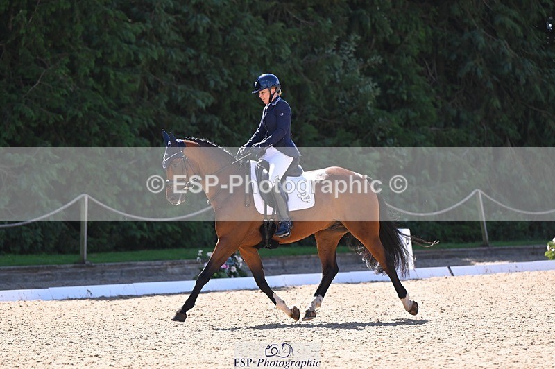 240809-111258-00527 - 133-Dawn.Bear-First.Taylor.Made