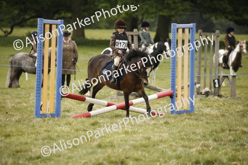 20250517-0725 - Class 2 - 30cm Off Lead Rein