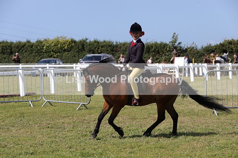 1X9A5409 - Class 37: NPS M&M First Ridden