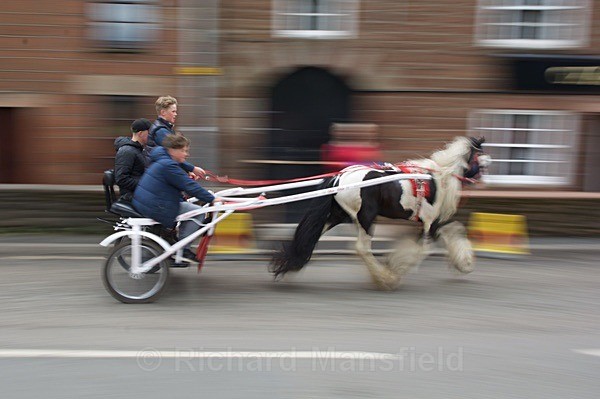  - Appleby Horse Fair