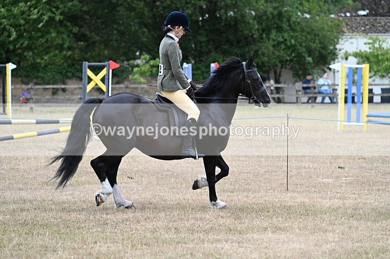 WJ7_0478 - Class 6 Ridden Mountain and Moorland