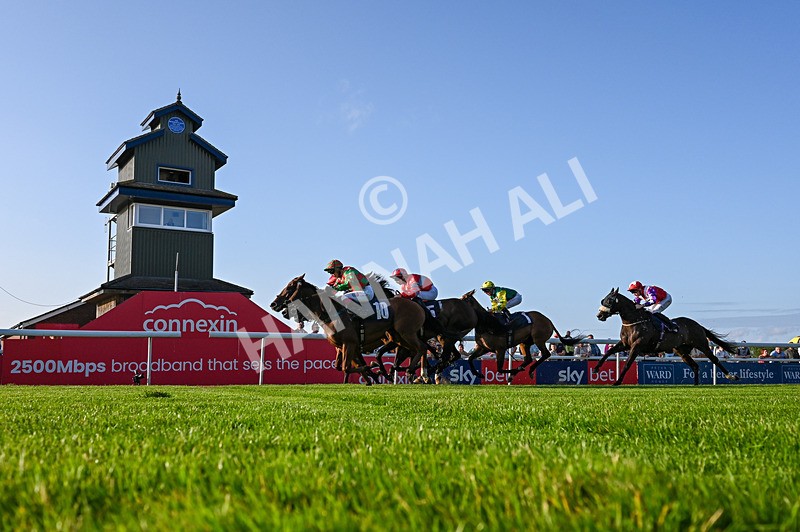 200726-Race 2-Opal Storm-4490 - Race 2 19.00pm Happy Birthday Katie Exon Handicap
