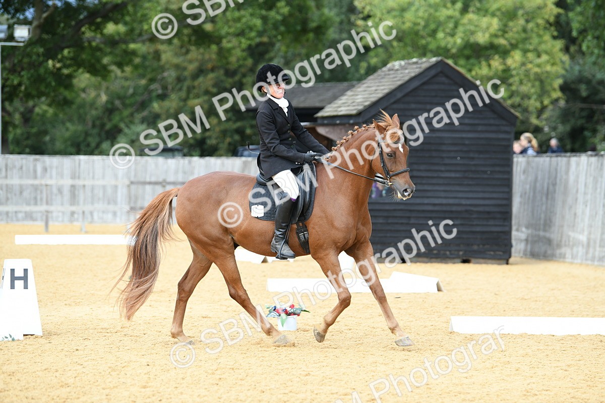 SBM_10968 - D28 Elementary Taster Elementary 42