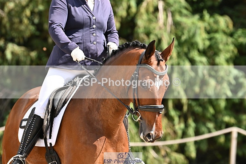 250808A-144253-00978 - 121-Emily.FarleighLimited.Edition.TN