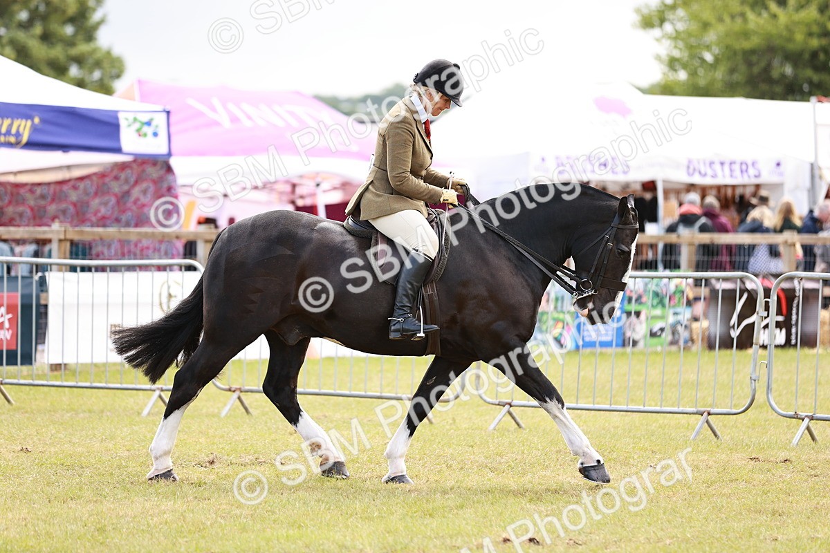 SBM_13078 - Class 85-87 - RIHS Cobs