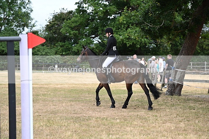 WJ6_3960 - Class 9 Tack & Turnout