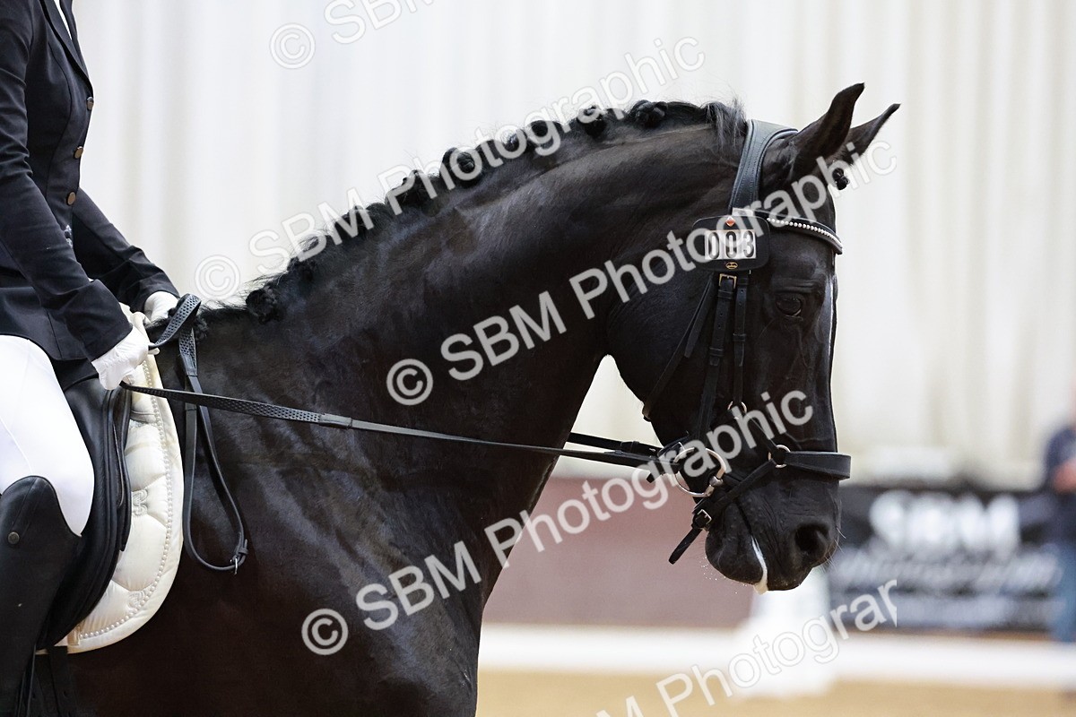 SBM_024911 - Class 8-9 - MQ Open Prelim 2 - Novice 1