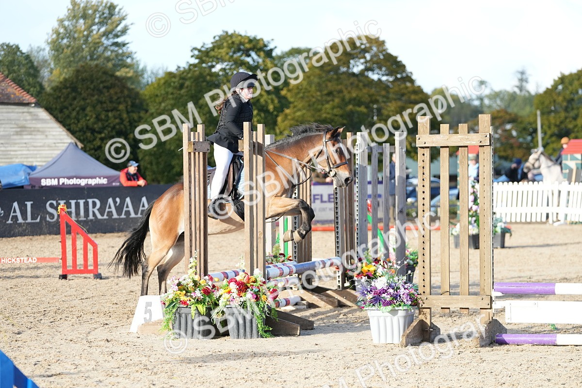 SBM_29111 - J43 - Horse & Hound Open 50cm