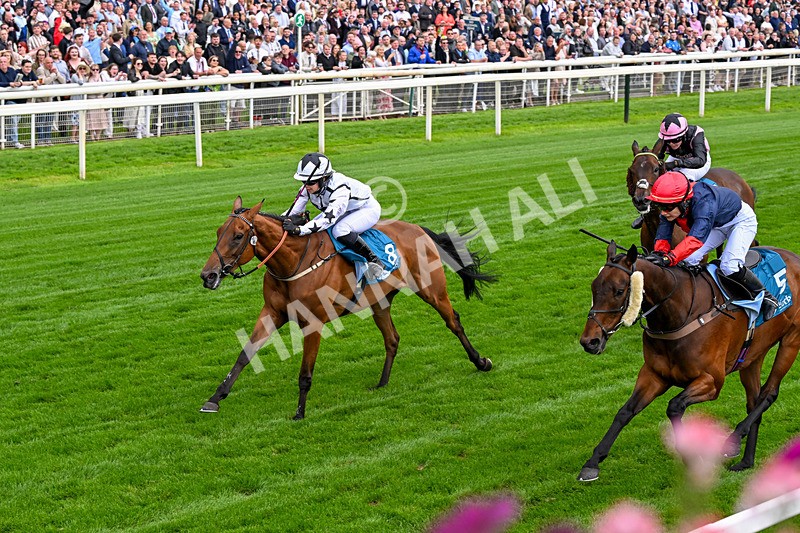 130626-Race 1-Dunkeld Dreamer-0328 - Race 1 13.50pm Queen Mother's Cup Handicap