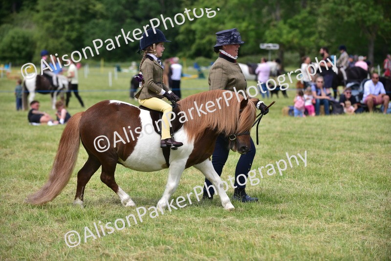 20260614-1266 - Class 11a - Lead Rein Pony (Unplaited)
