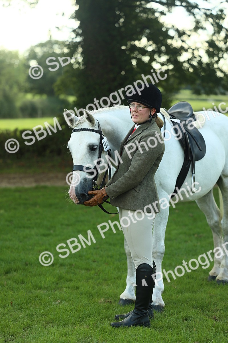 SBM_50729 - S33 - Working Hunter & Working Show Horse