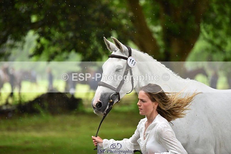 240522-161210-00780 - 160-WESTWOOD_II-Tara_Kay