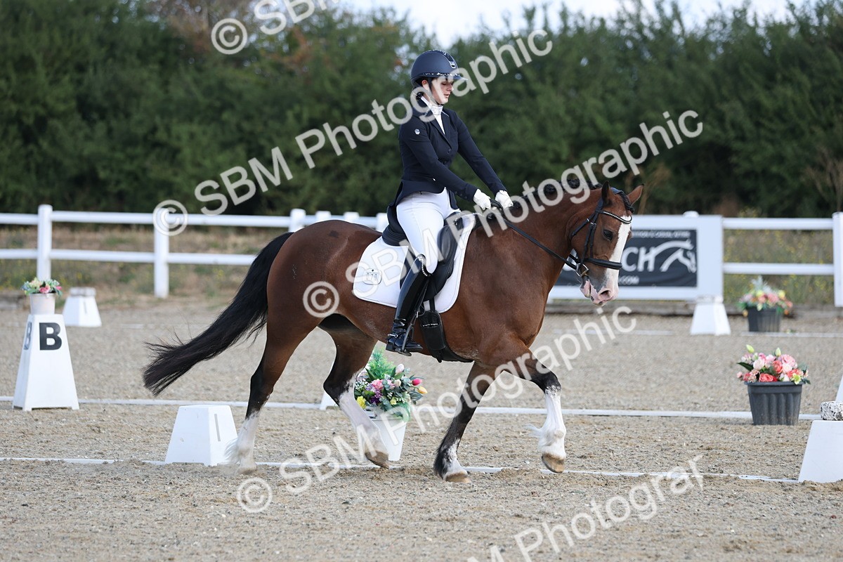SBM_020278