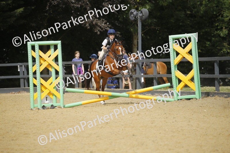 20250622-3811 - 50cm