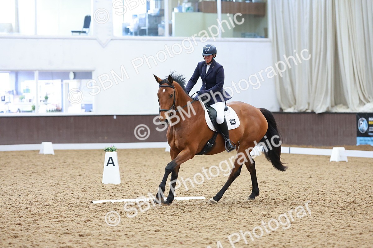 SBM_007469 - Class 4-5-6 - Prel 3-Novice 2-Ele 2