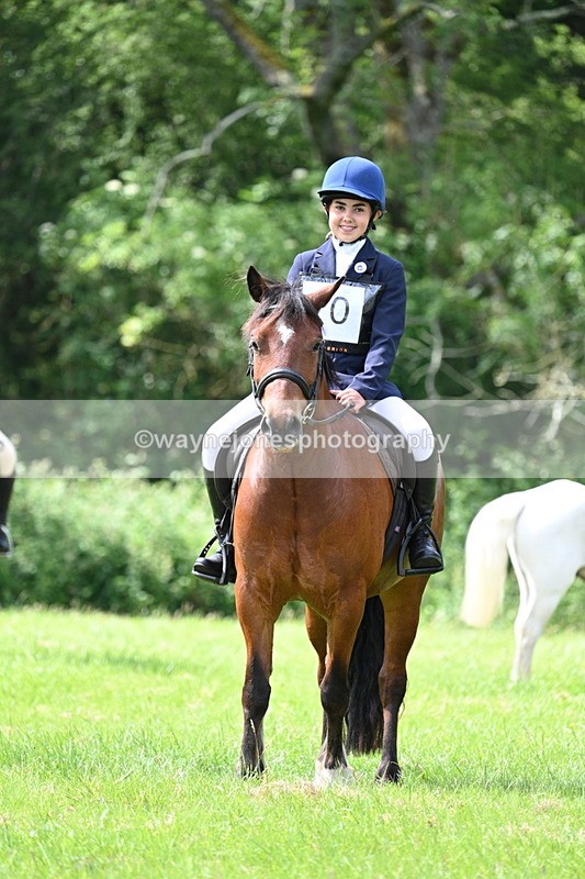 WJ7_1376 - Class 11 Condition & Turnout