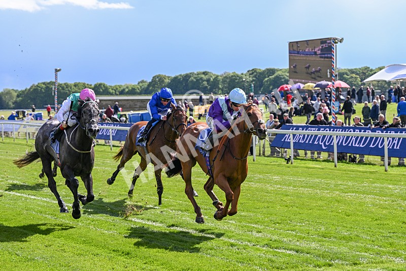 140526-Race 4-See The Fire-5172 - Race 4 3.30pm Al Basti Equiworld Dubai Middleton Fillies' Stakes
