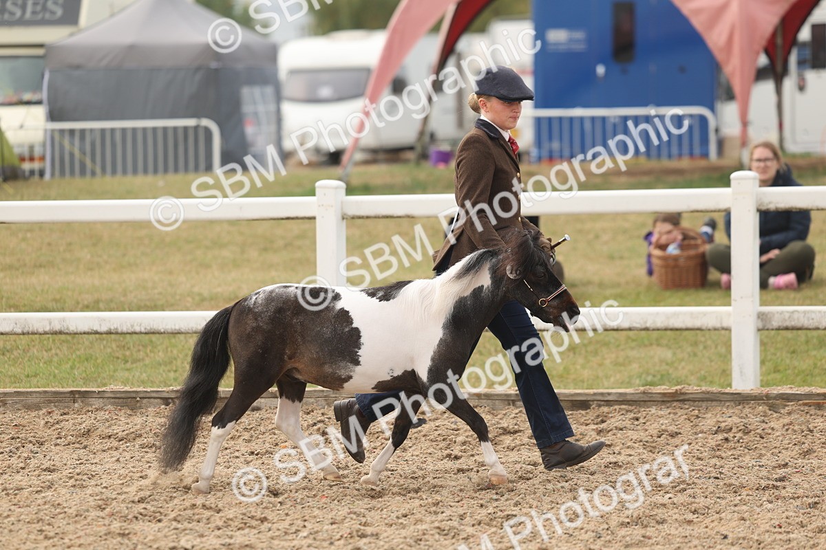 SBM_02077