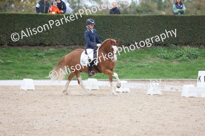 20251011-0402 - Class 4 - Novice 2