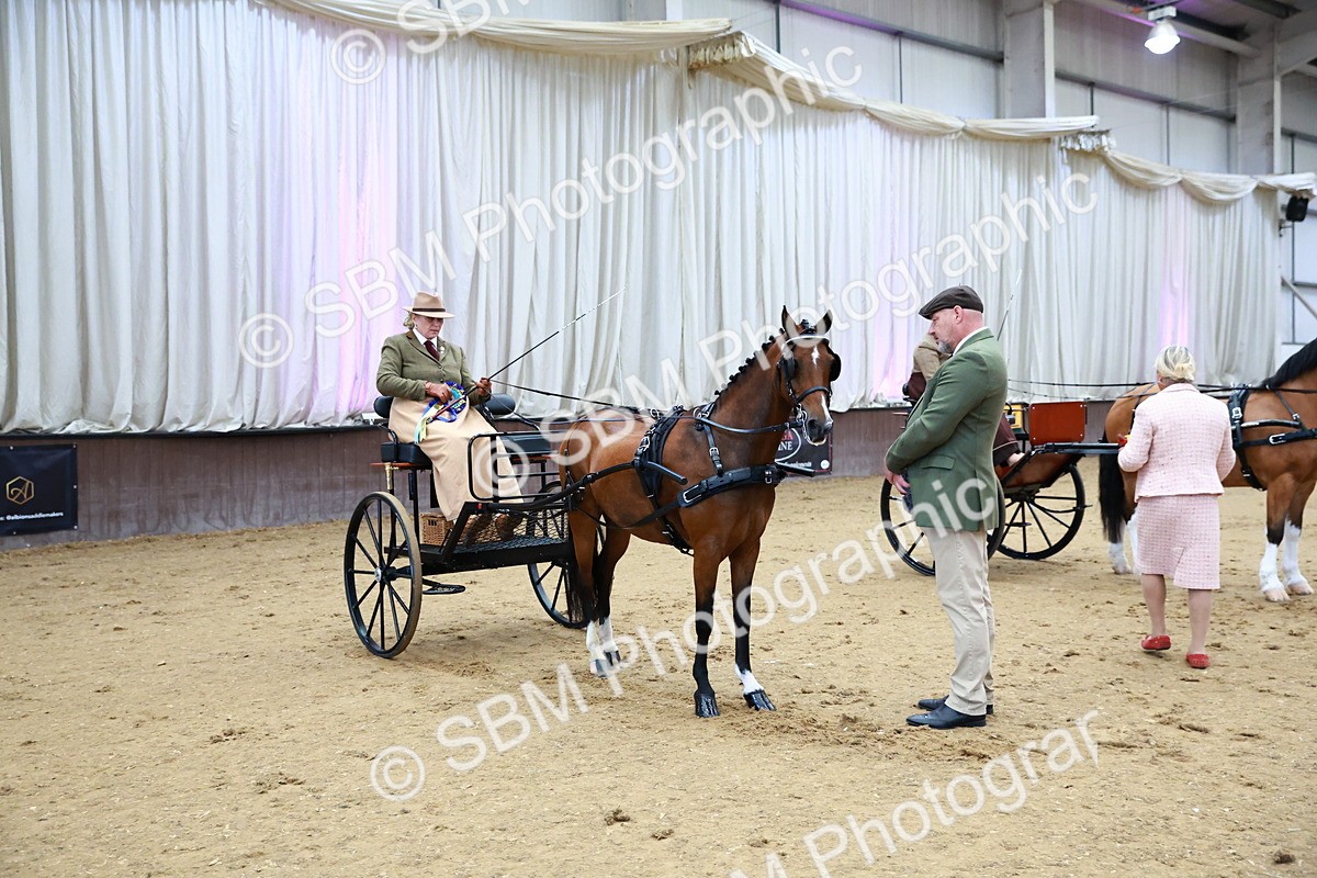 SBM_000205 - Class 3 - Alison Thomas Memorial Lady Whip