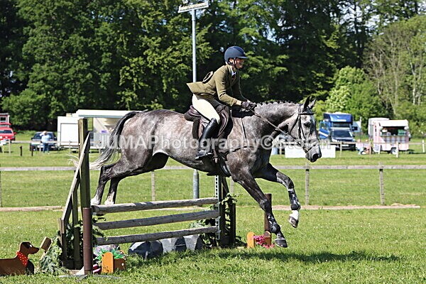 IMG_4625 - Working Hunter