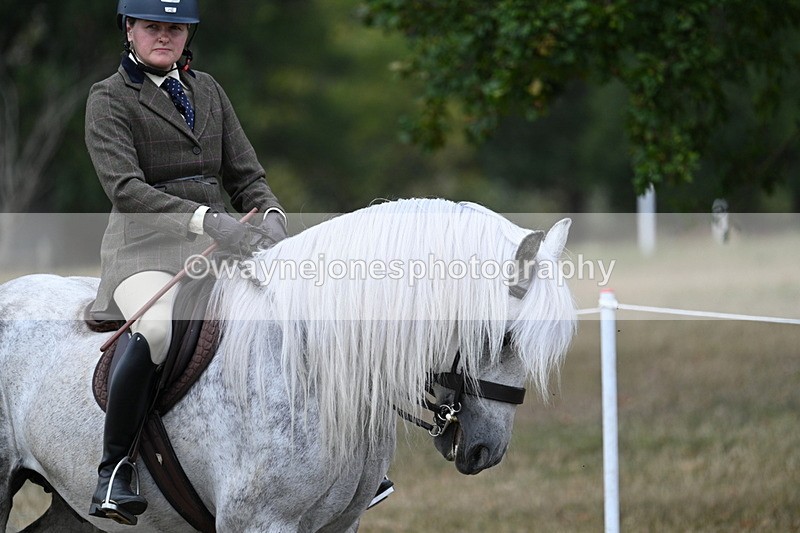 WJ7_4748 - Class 12 Ridden Cob