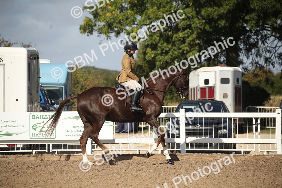 SBM_22770 - Class 602 - 2026 Area - Ridden Veteran