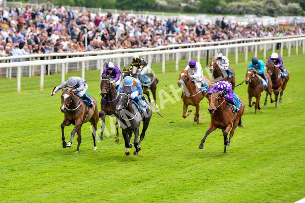 190523-Race 1-Got To Love A Grey-0558 - Race 1 1.50pm Clipper EBF Marygate Fillies' Stakes