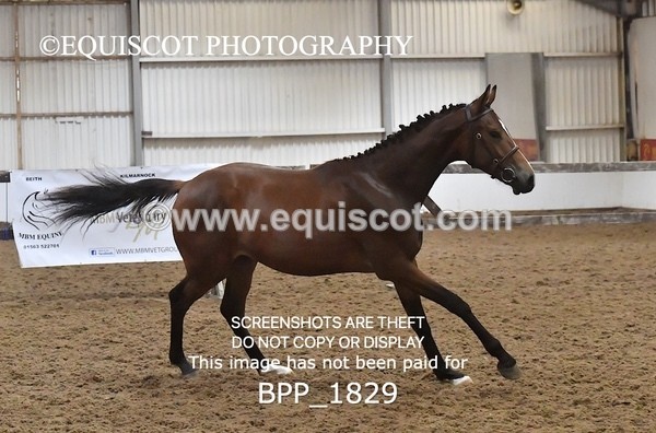 BPP_1829 - MORNING 9AM - 12PM