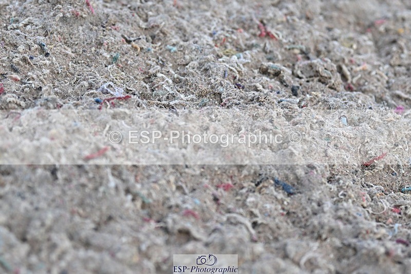 250125-123629-00477 - Dressage - CT Class 6 BE102