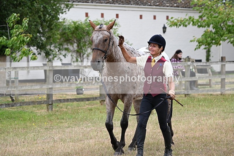 WJ6_8006 - Class 10 Coloured in Hand