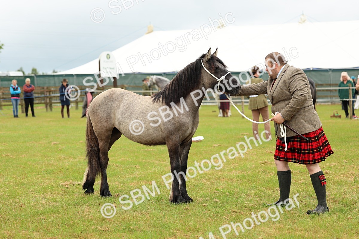 SBM_00410 - Class 58-67 - M&M Non Welsh Pony In hand
