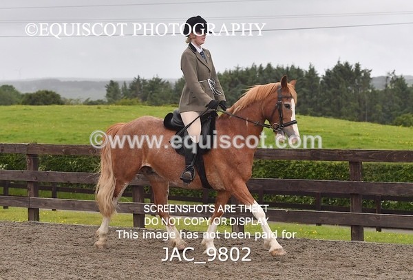 JAC_9802 - CLASS 2 Novice Working Hunter (0.60m - 0.70m)