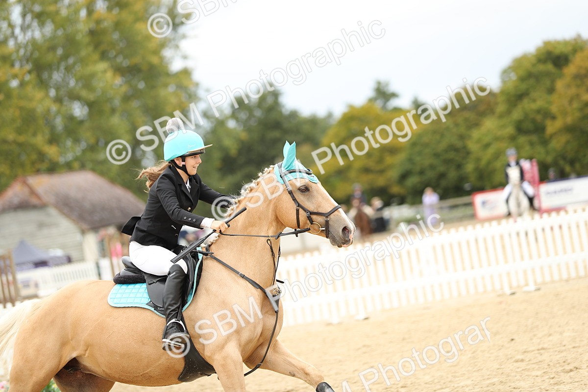 SBM_65578 - J48 - Pairs Jumping Open 70cm & 85cm