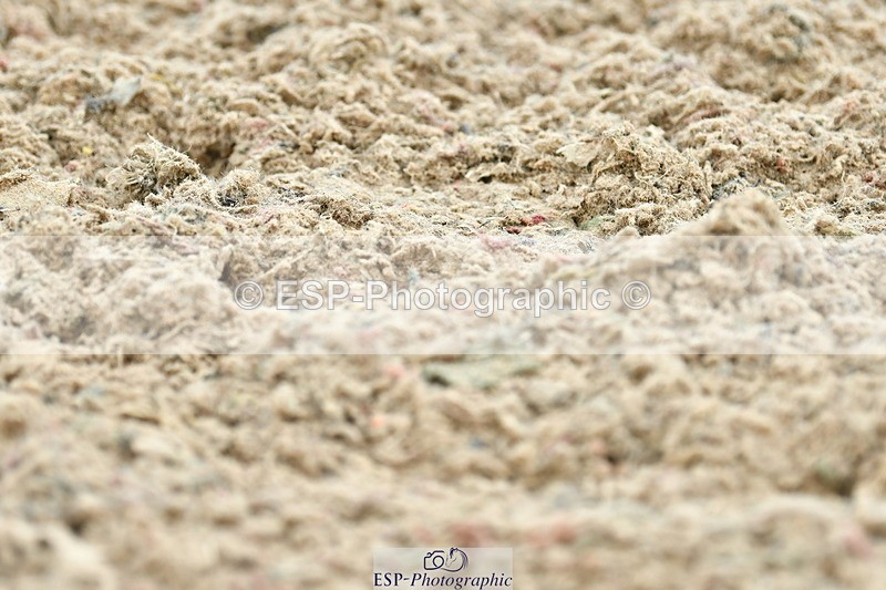 230701A-124621-06154 - Cls 8 Elementary 57