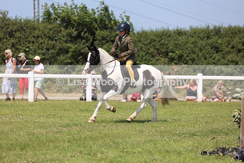 JPP_3098 - Class 22: Working Hunter 70cm