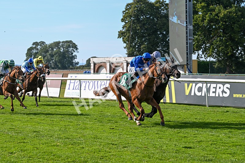 160924-Race 4-Watching Stars-2880 - Race 4