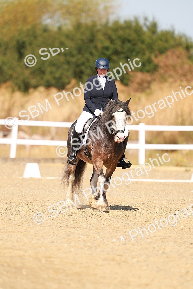 SBM_017806 - Class 9 - N5 Bronze 10.33.11.36