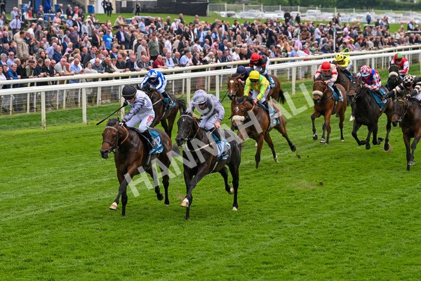 160524-Race 6-Andesite-6672 - Race 6 4.45pm Frank Whittle Partnership ebfstallions.com Novice Stakes