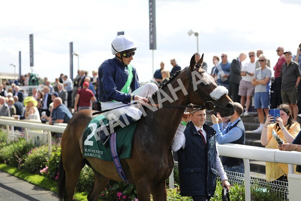 yr19082022r2-21 - Race 2 2.25pm Weatherbys Hamilton Lonsdale Cup (British Champions Series Race)