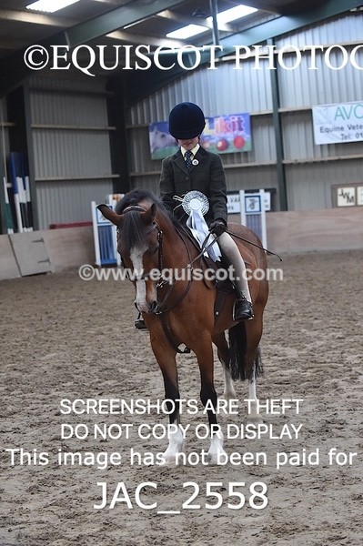 JAC_2558 - CLASS 3 Intermediate Working Hunter