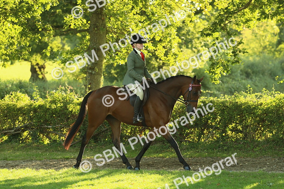 SBM_55587 - S14 - Riding Club Horse