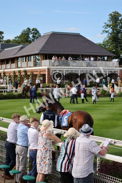 yr08072022r7-1 - Race 7 5.30pm Jigsaw Sports Branding Handicap